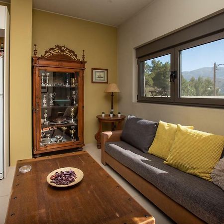 Ferienwohnung The Pine Flat Argostoli  Exterior foto